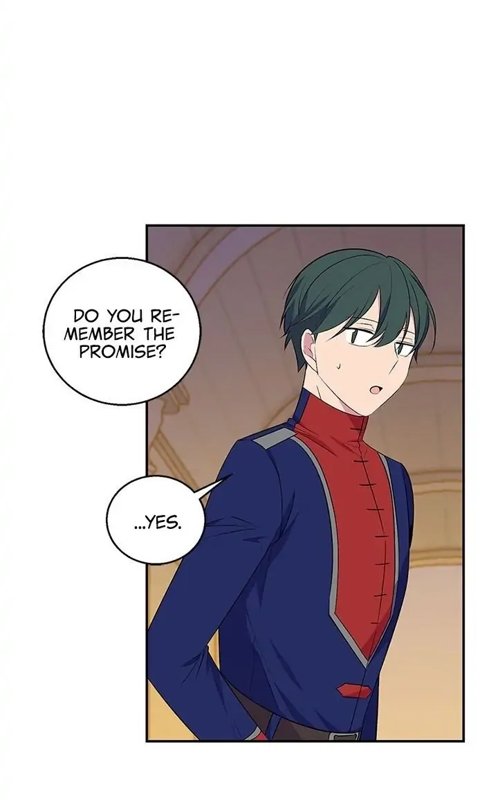 Emperor, Stay Here, Your Knight