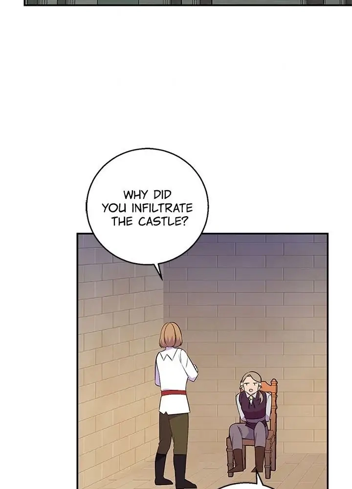Emperor, Stay Here, Your Knight
