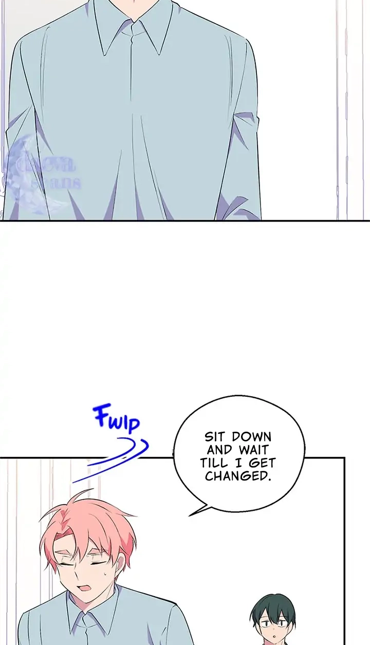 Emperor, Stay Here, Your Knight