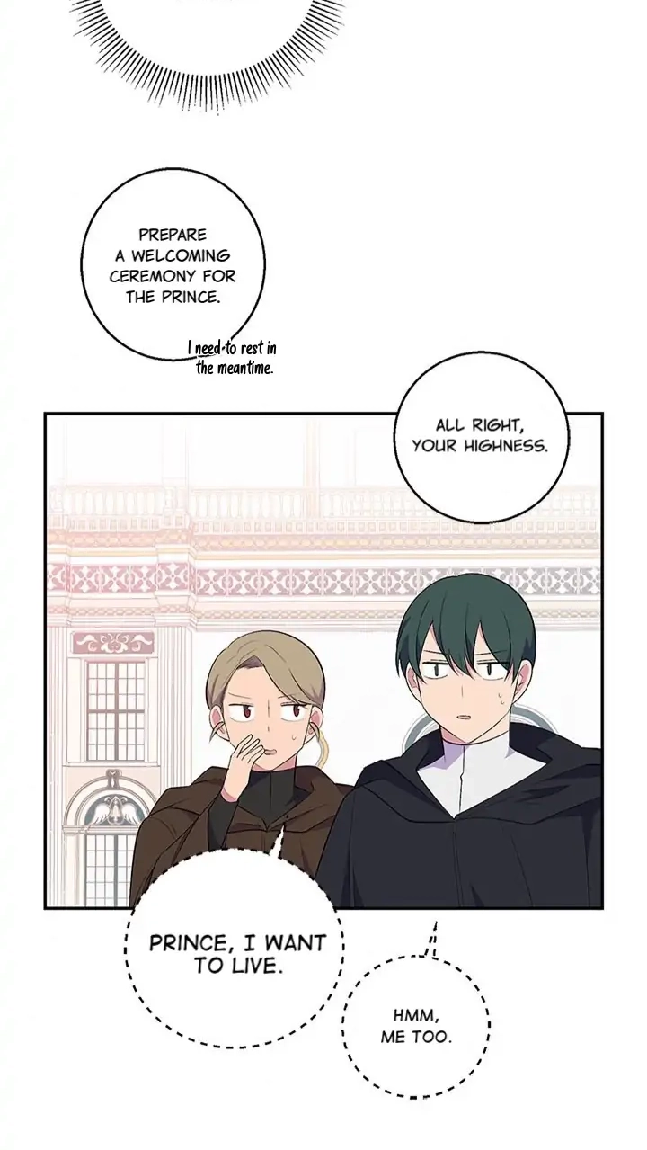 Emperor, Stay Here, Your Knight