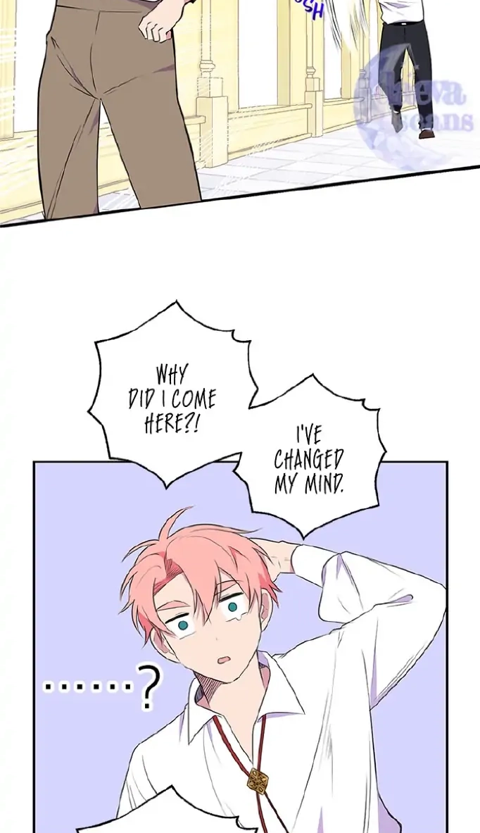 Emperor, Stay Here, Your Knight