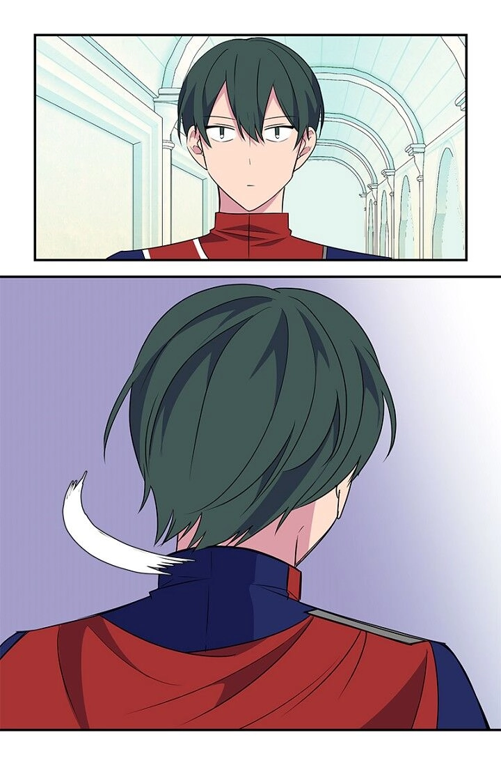 Emperor, Stay Here, Your Knight