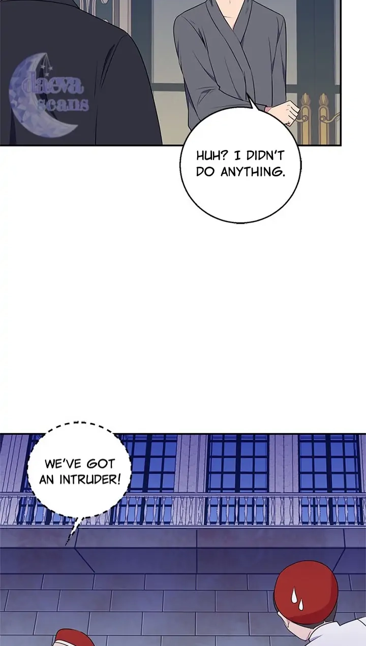 Emperor, Stay Here, Your Knight