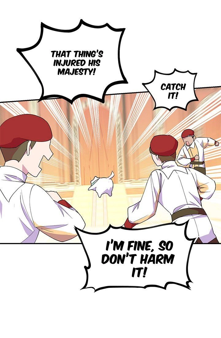 Emperor, Stay Here, Your Knight
