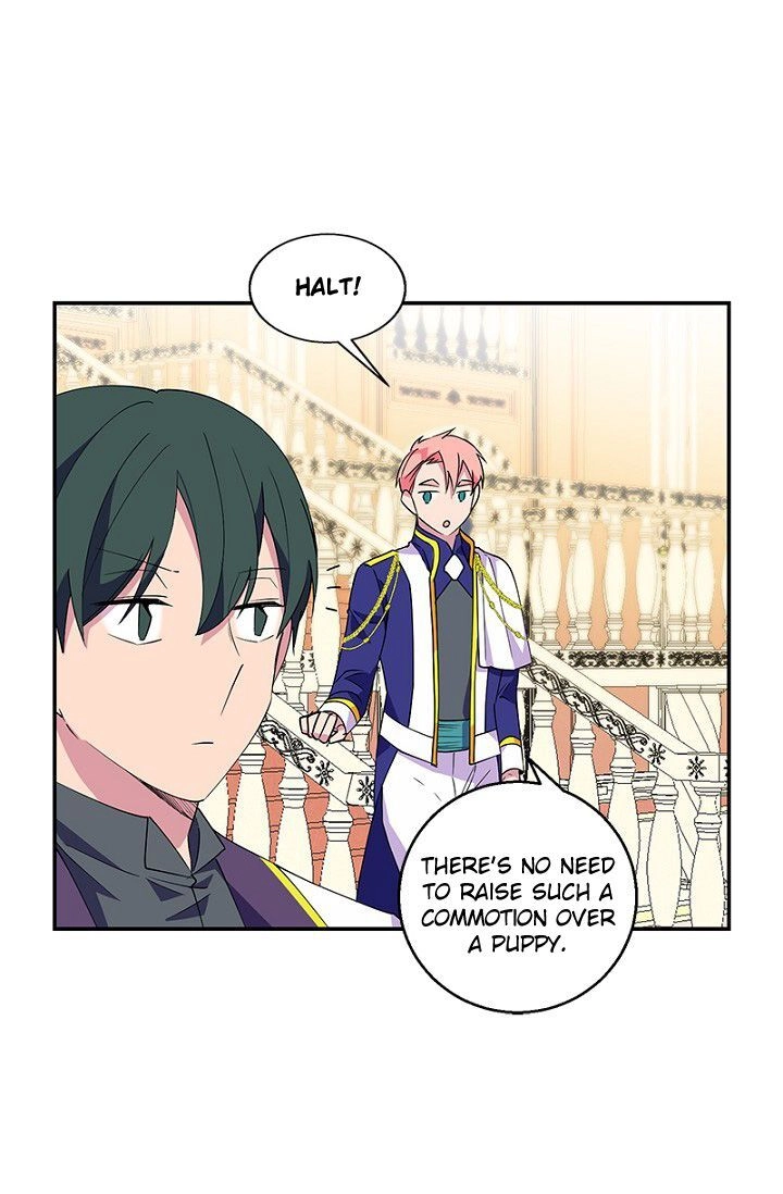 Emperor, Stay Here, Your Knight