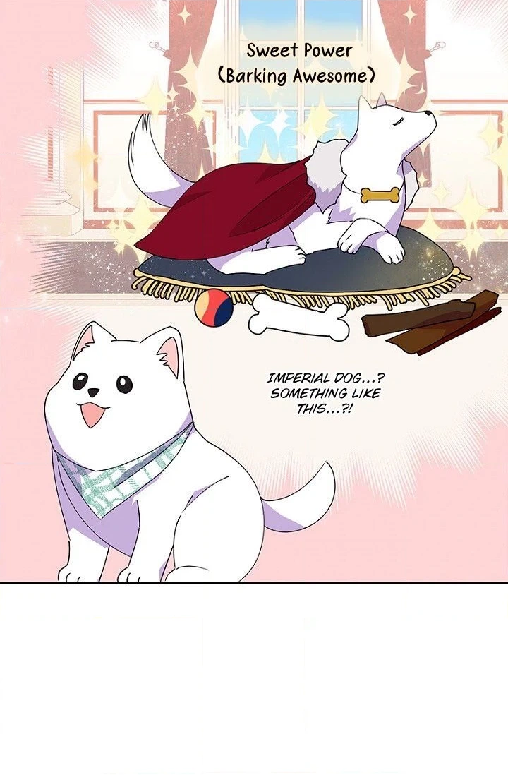 Emperor, Stay Here, Your Knight