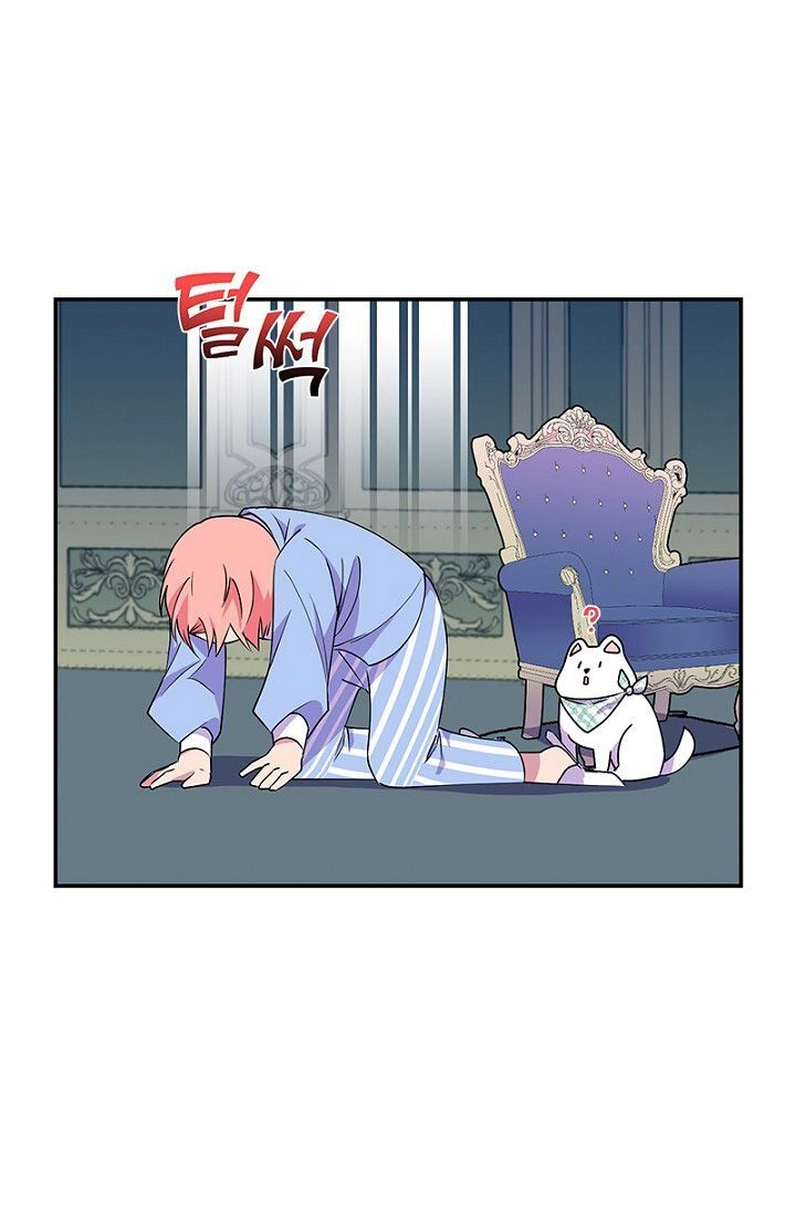 Emperor, Stay Here, Your Knight