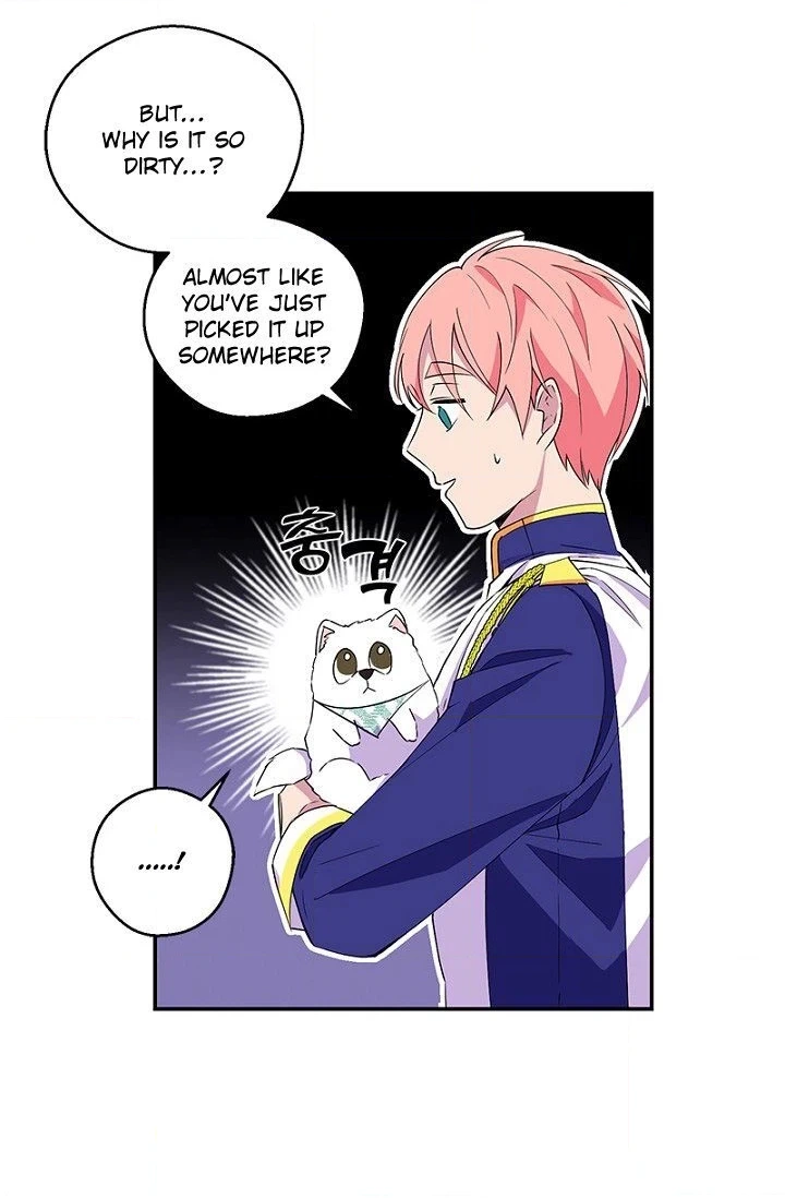 Emperor, Stay Here, Your Knight