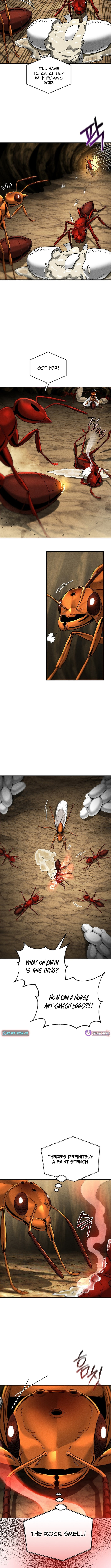 Empire of the Ants Chapter 18 page 3 - 