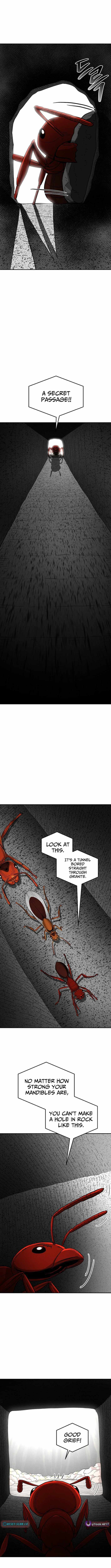 Empire of the Ants Chapter 25 page 7 - 