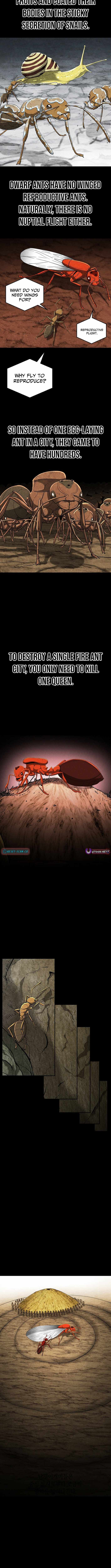Empire of the Ants Chapter 27 page 12 - 
