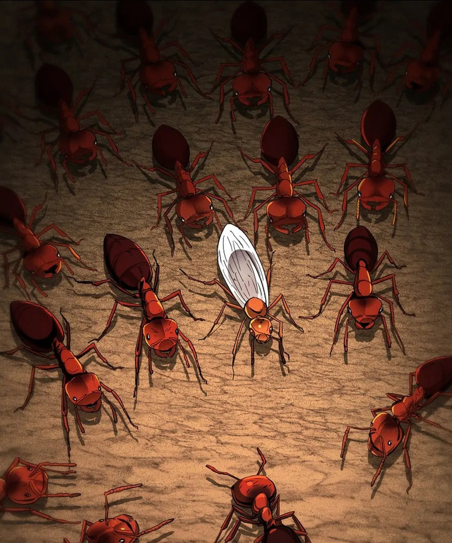 Empire of the Ants Chapter 3 page 45 - 