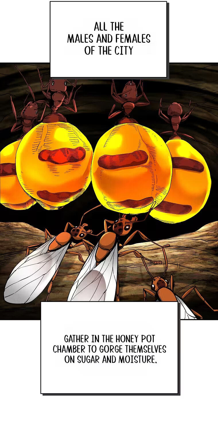 Empire of the Ants Chapter 35 page 39 - 