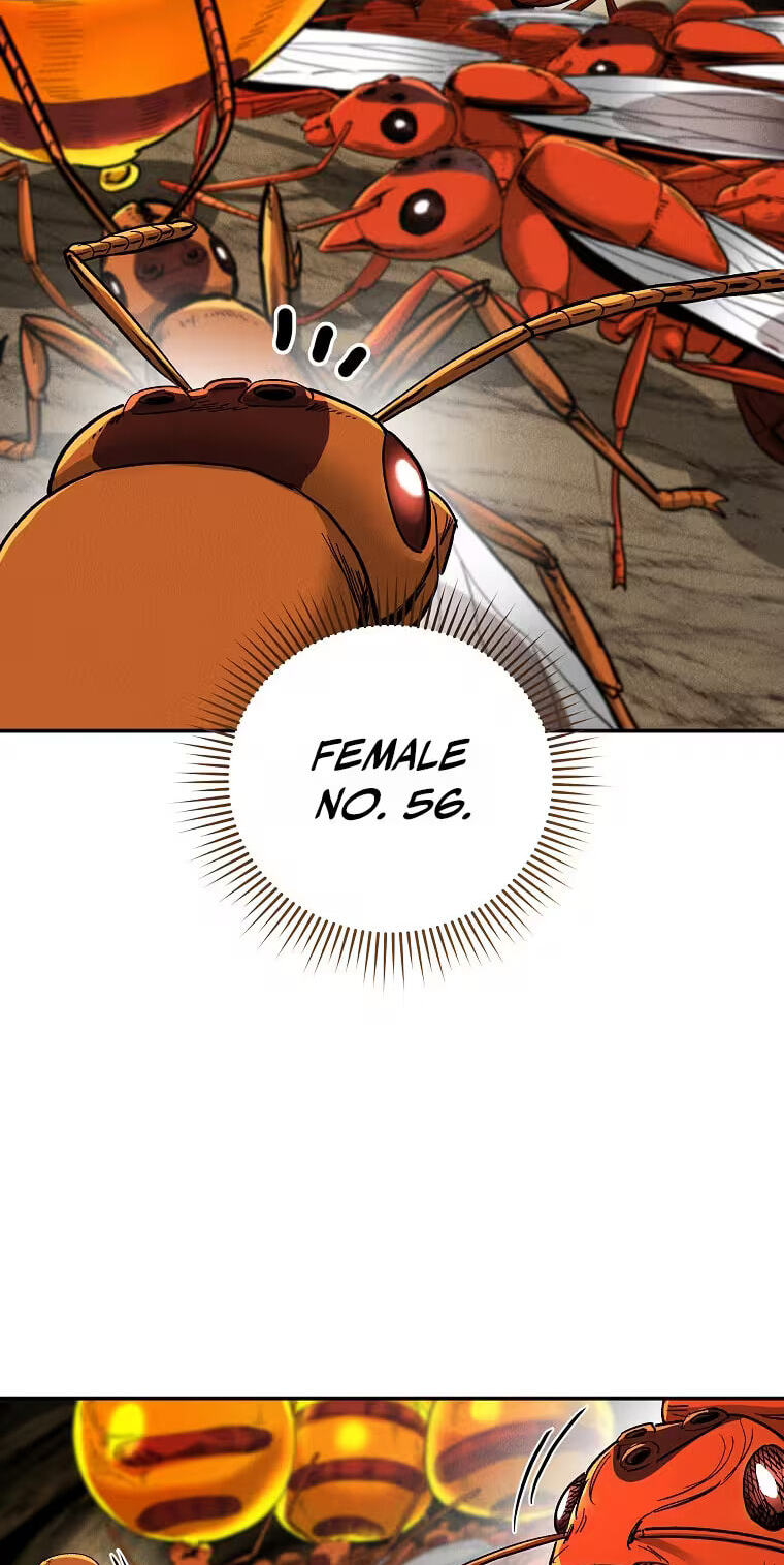 Empire of the Ants Chapter 35 page 42 - 