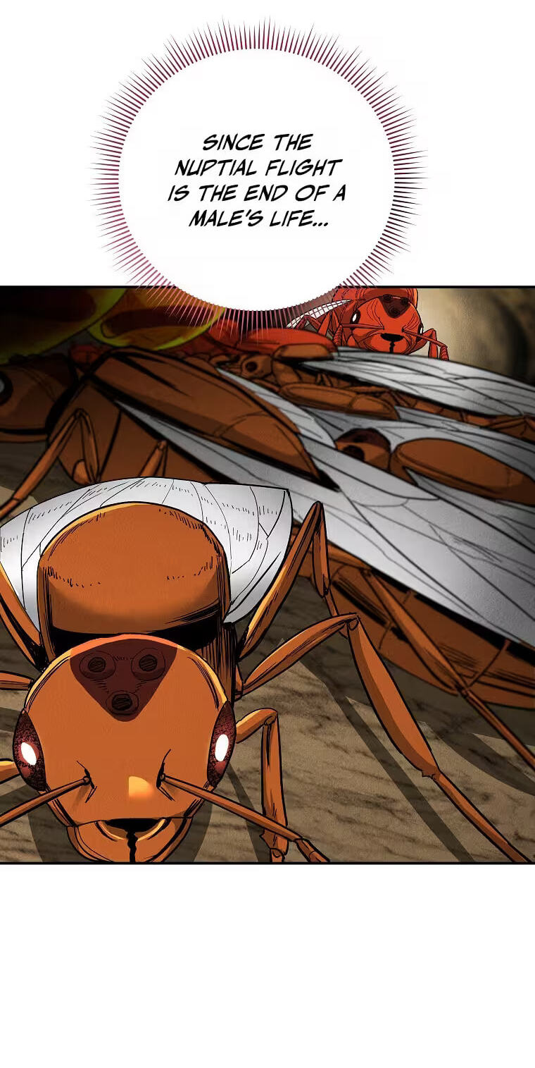 Empire of the Ants Chapter 35 page 46 - 