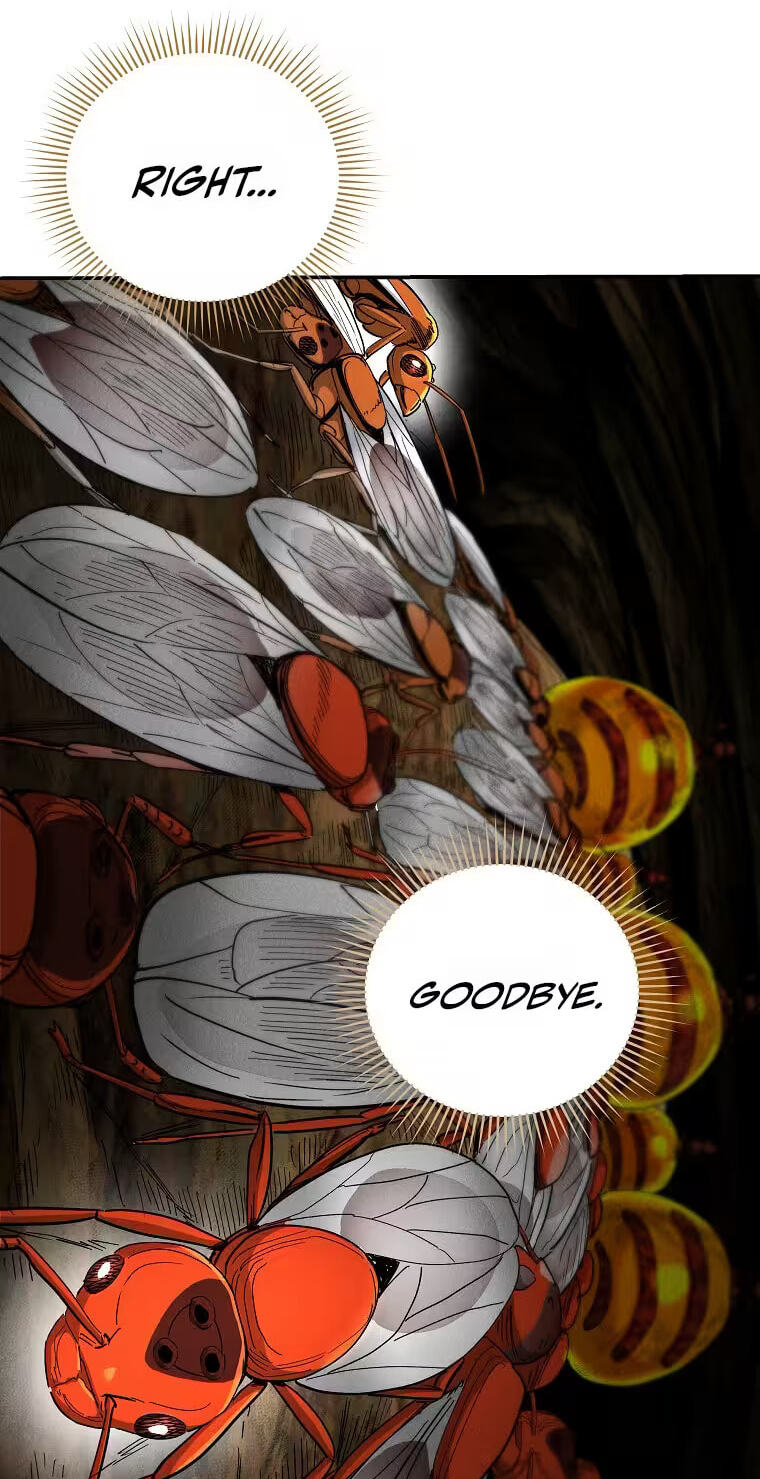 Empire of the Ants Chapter 35 page 50 - 