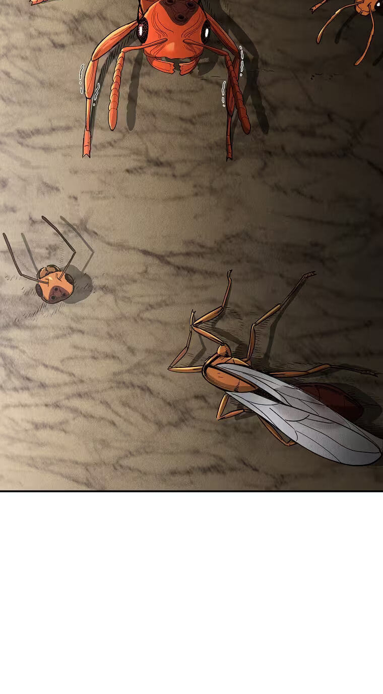 Empire of the Ants Chapter 36 page 47 - 