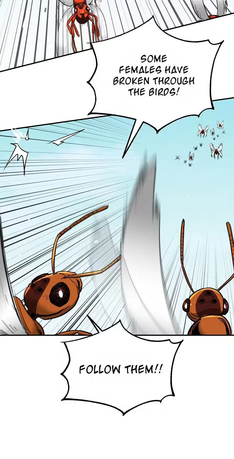 Empire of the Ants Chapter 38 page 71 - 