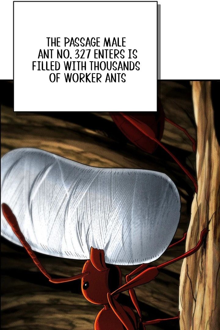 Empire of the Ants Chapter 5 page 31 - 