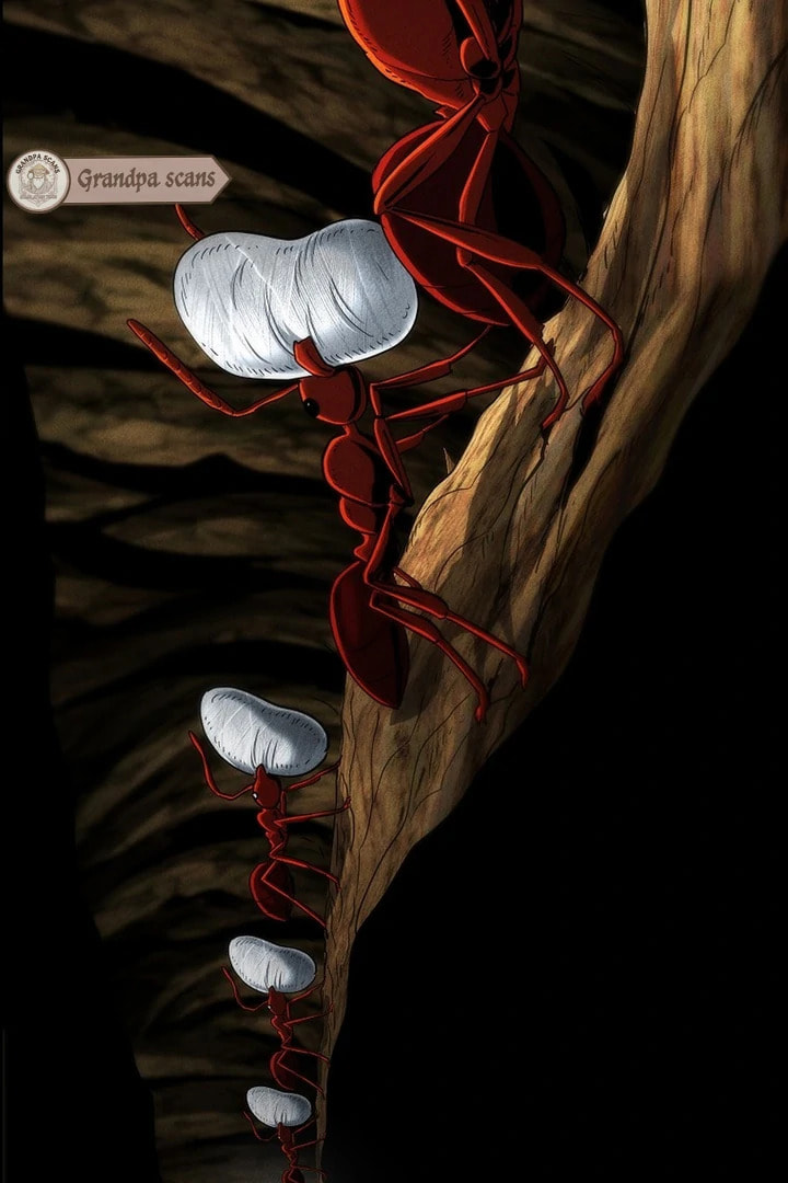 Empire of the Ants Chapter 5 page 32 - 