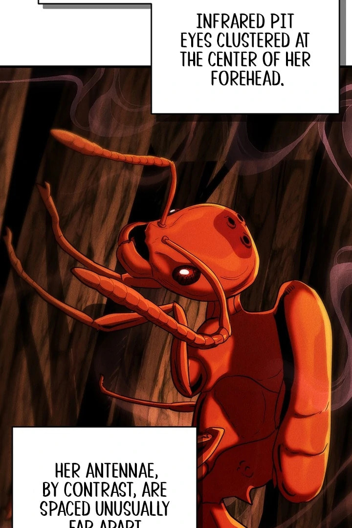 Empire of the Ants Chapter 5 page 58 - 