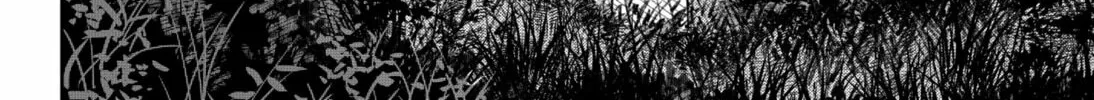 Empyreal Cabinet Chapter 3 page 88 - 