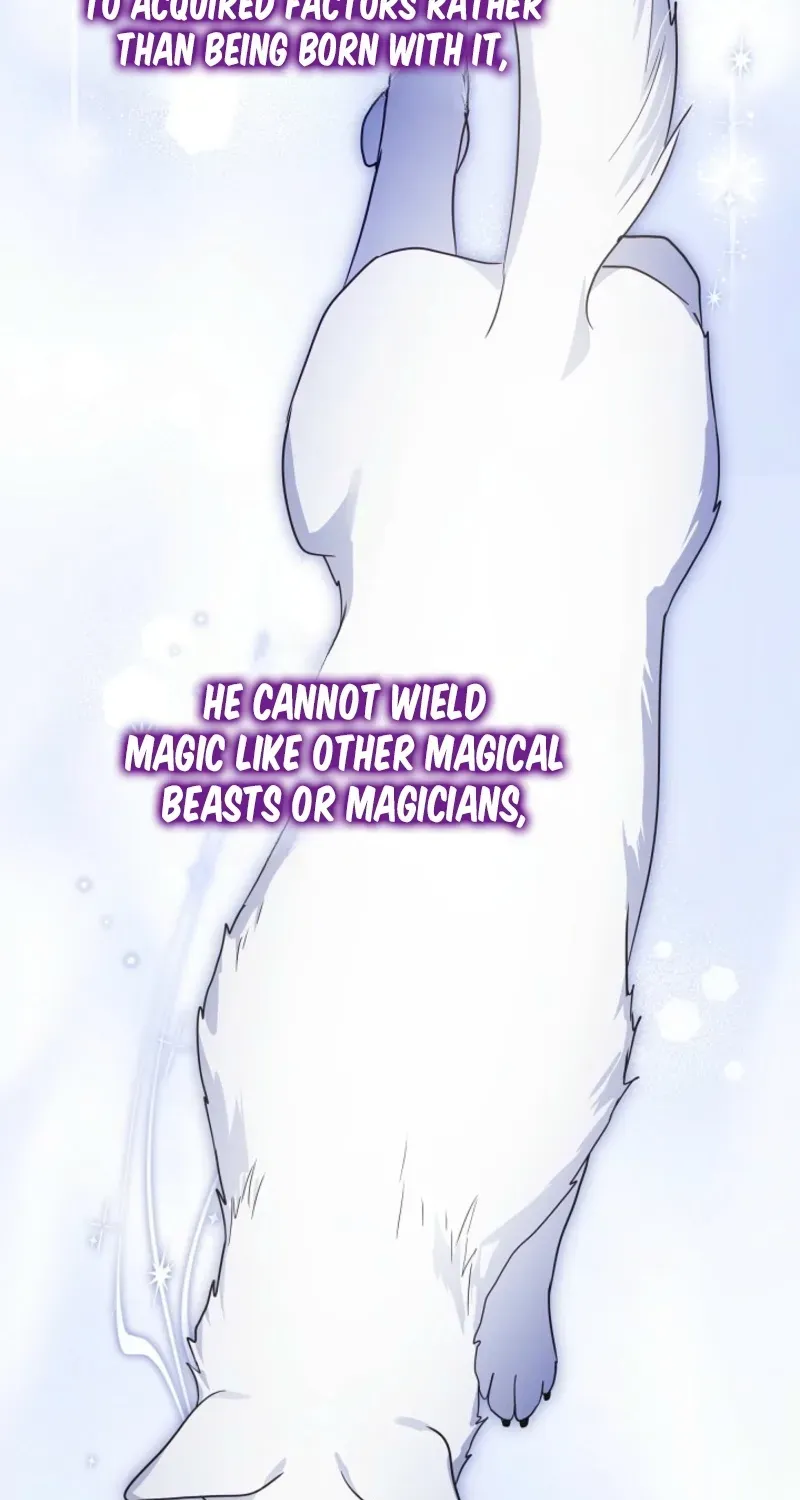 En Travesti: I Became a Fake Prince Chapter 10 page 15 - 