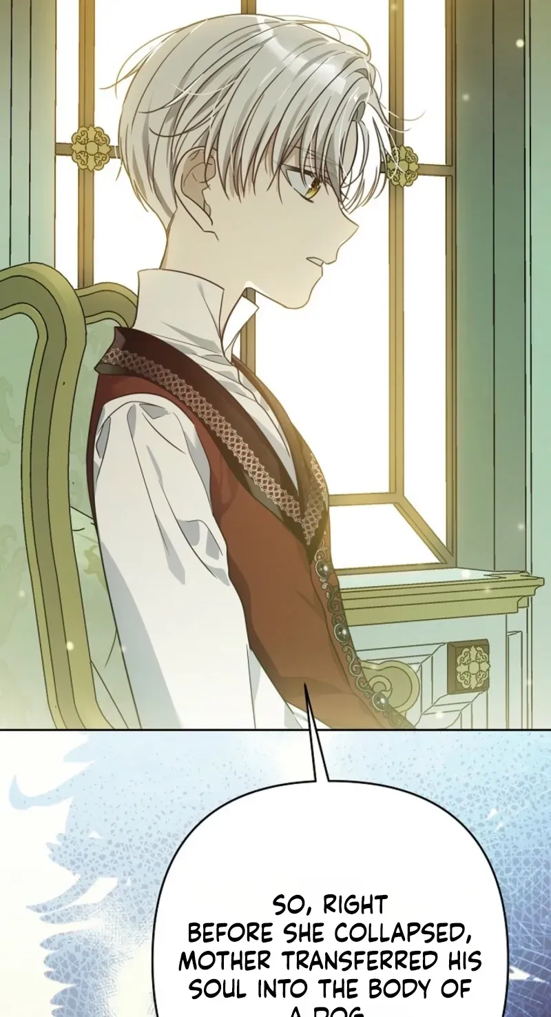 En Travesti: I Became a Fake Prince Chapter 16 page 149 - 