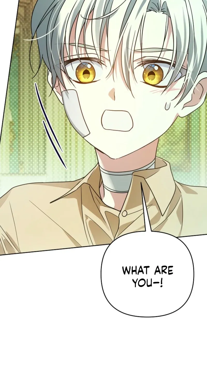 En Travesti: I Became a Fake Prince Chapter 21 page 58 - 