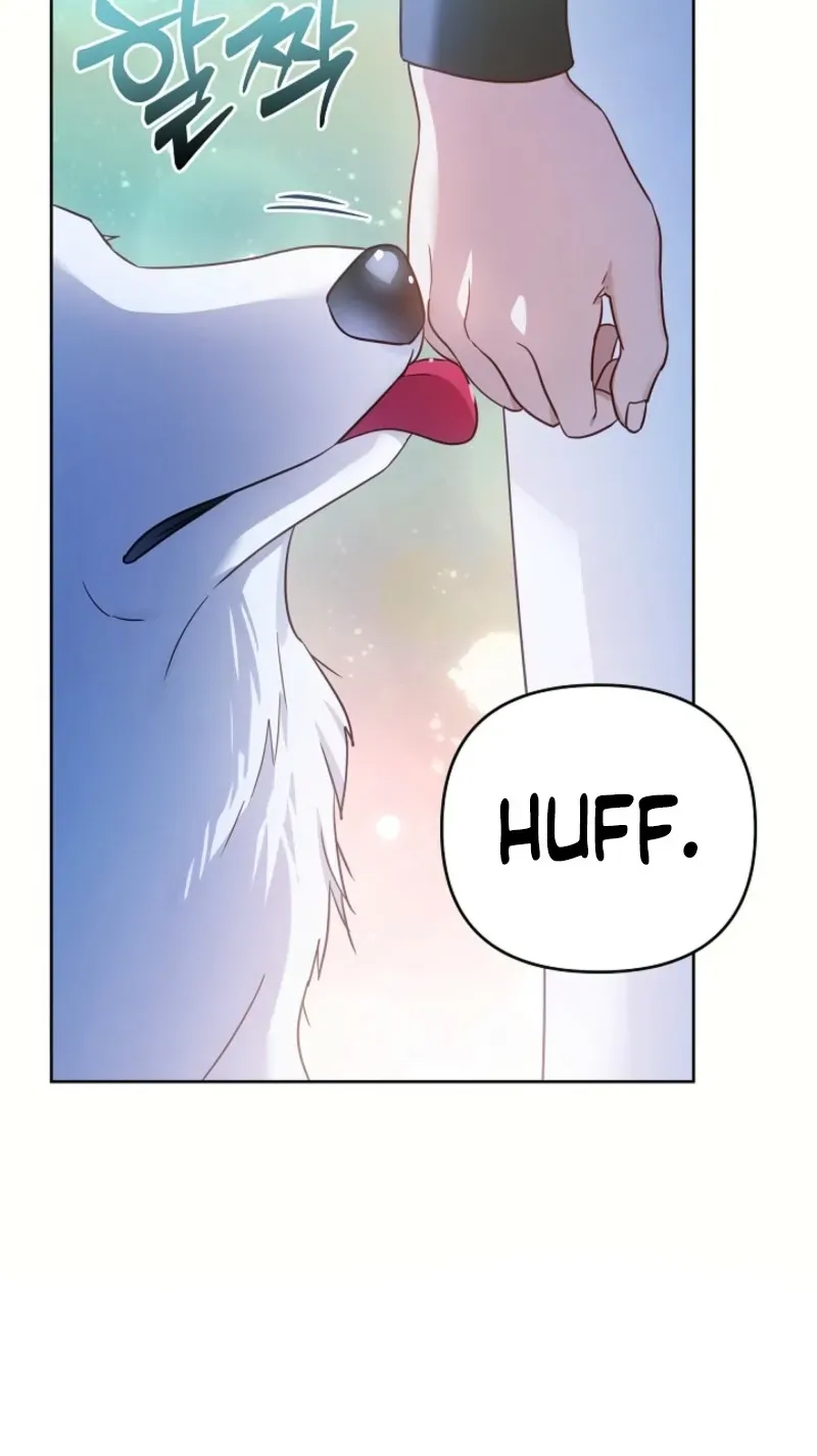 En Travesti: I Became a Fake Prince Chapter 5 page 31 - 