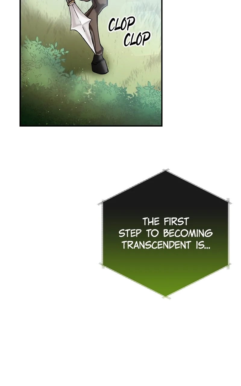 Enrolling in the Transcendent Academy Chapter 3 page 17 - 