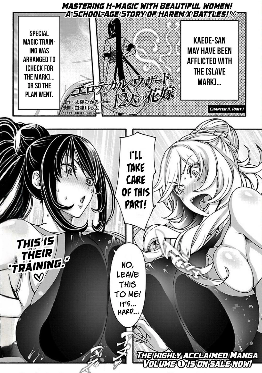 Erotical Wizard and 12 Brides Chapter 11.1 page 2 - 