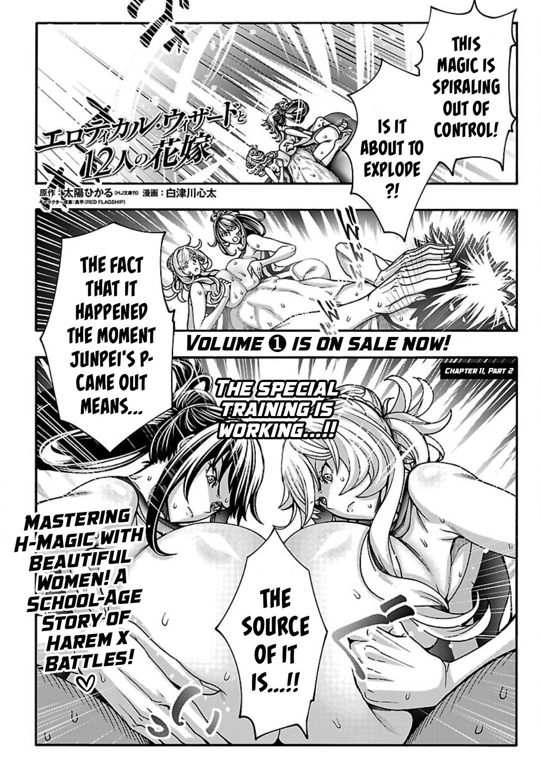Erotical Wizard and 12 Brides Chapter 11.2 page 2 - 