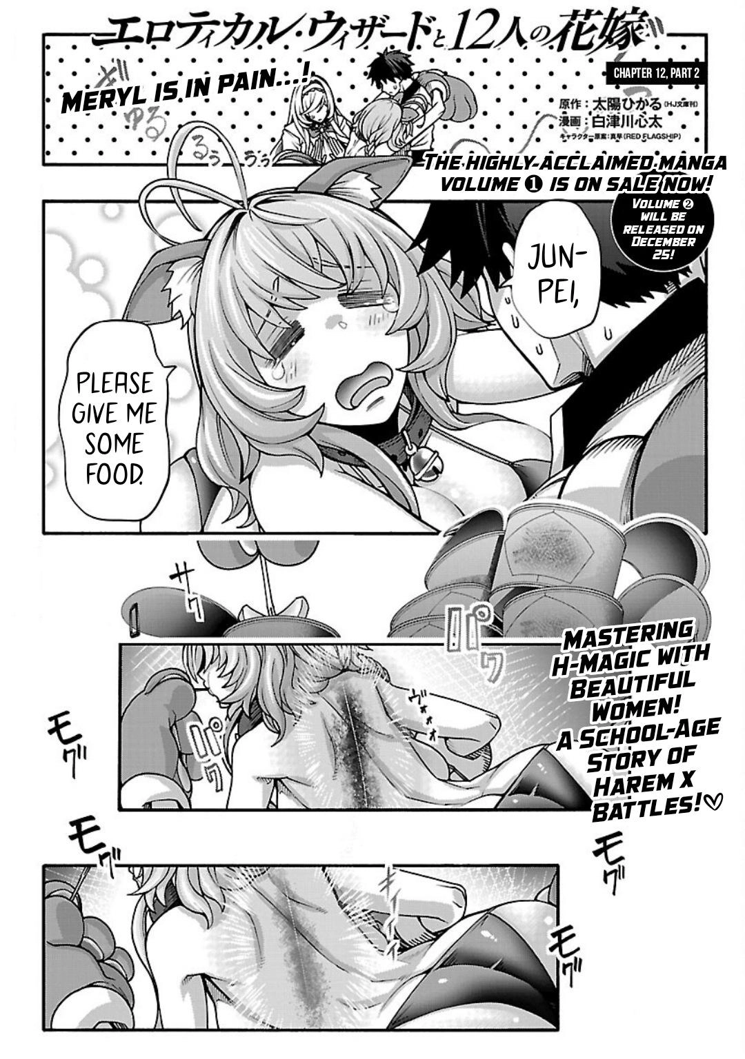 Erotical Wizard and 12 Brides Chapter 12.2 page 2 - 