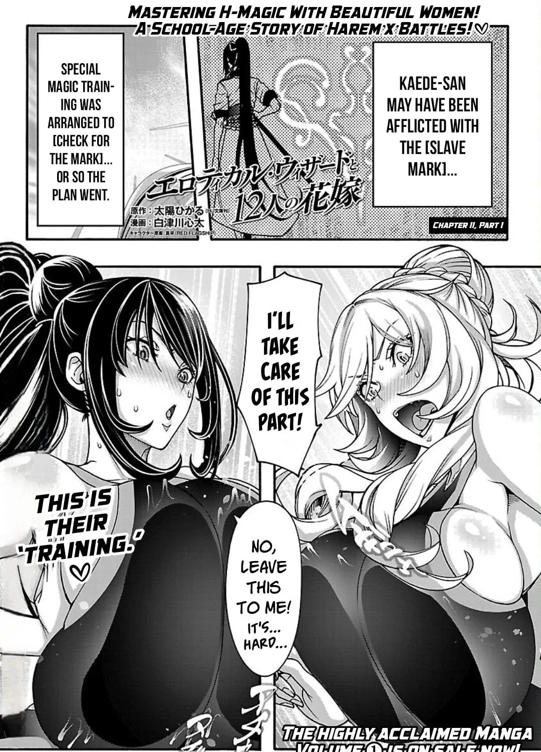 Erotical Wizard With Twelve Brides Chapter 11.1 page 2 - 