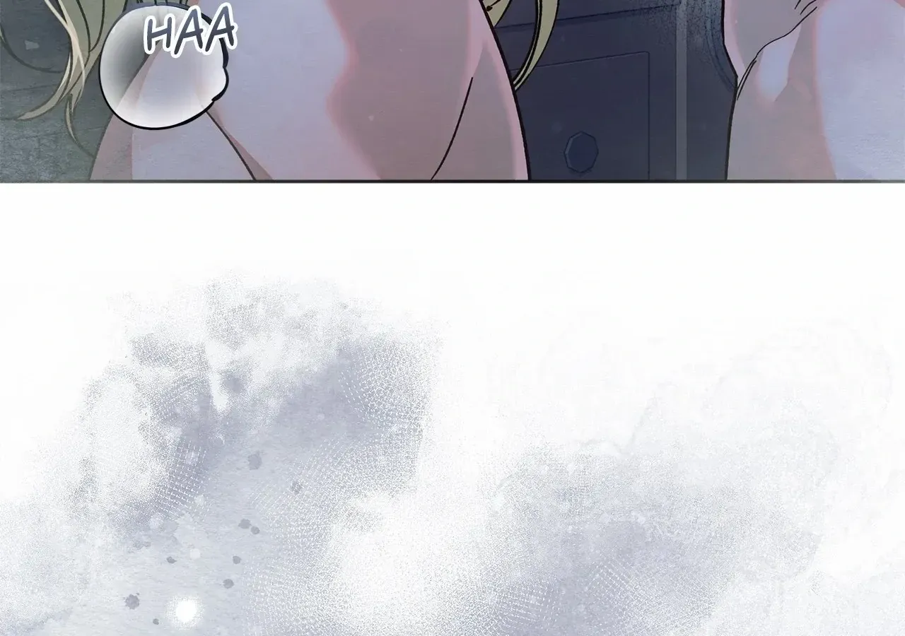 Escape Me If You Can Chapter 27 page 243 - 