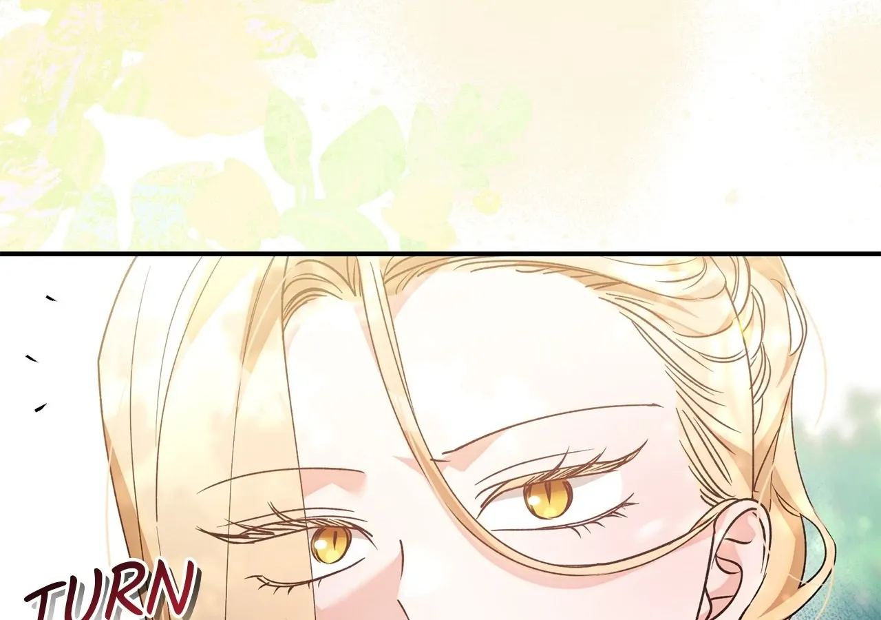 Escape Me If You Can Chapter 51 page 194 - 