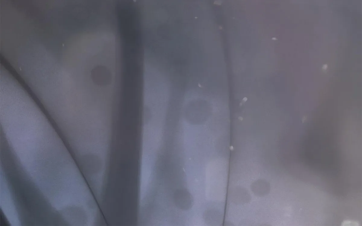 Escape Me If You Can Chapter 80 page 53 - 