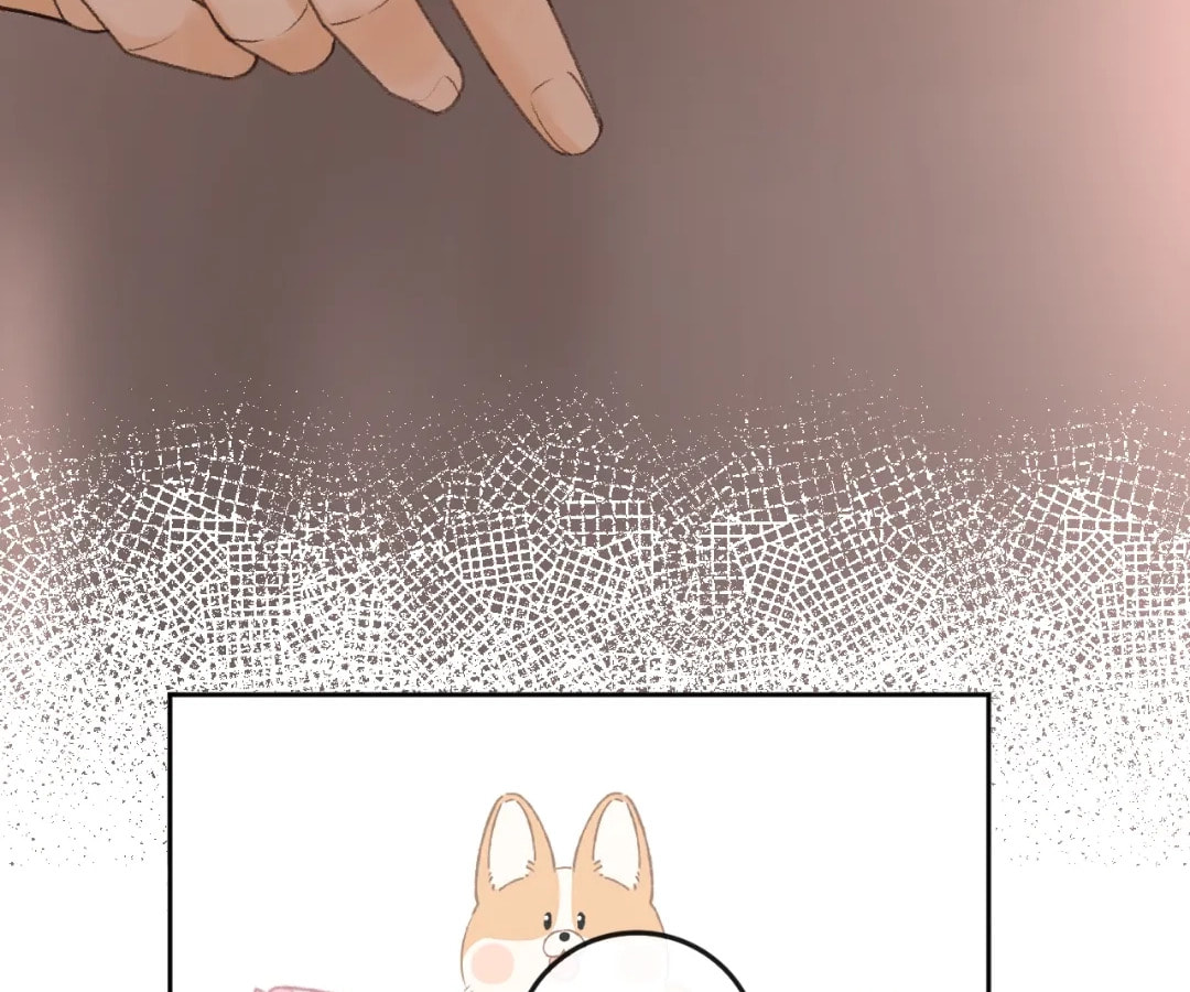 Eternal Love Chapter 134 page 77 - 