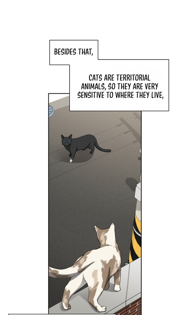 Even a Lonely Squirrel Has Its Burrow Chapter 3 page 79 - 