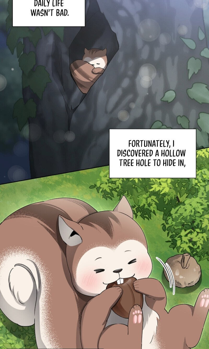 Even a Lonely Squirrel Has Its Burrow Chapter 3 page 91 - 