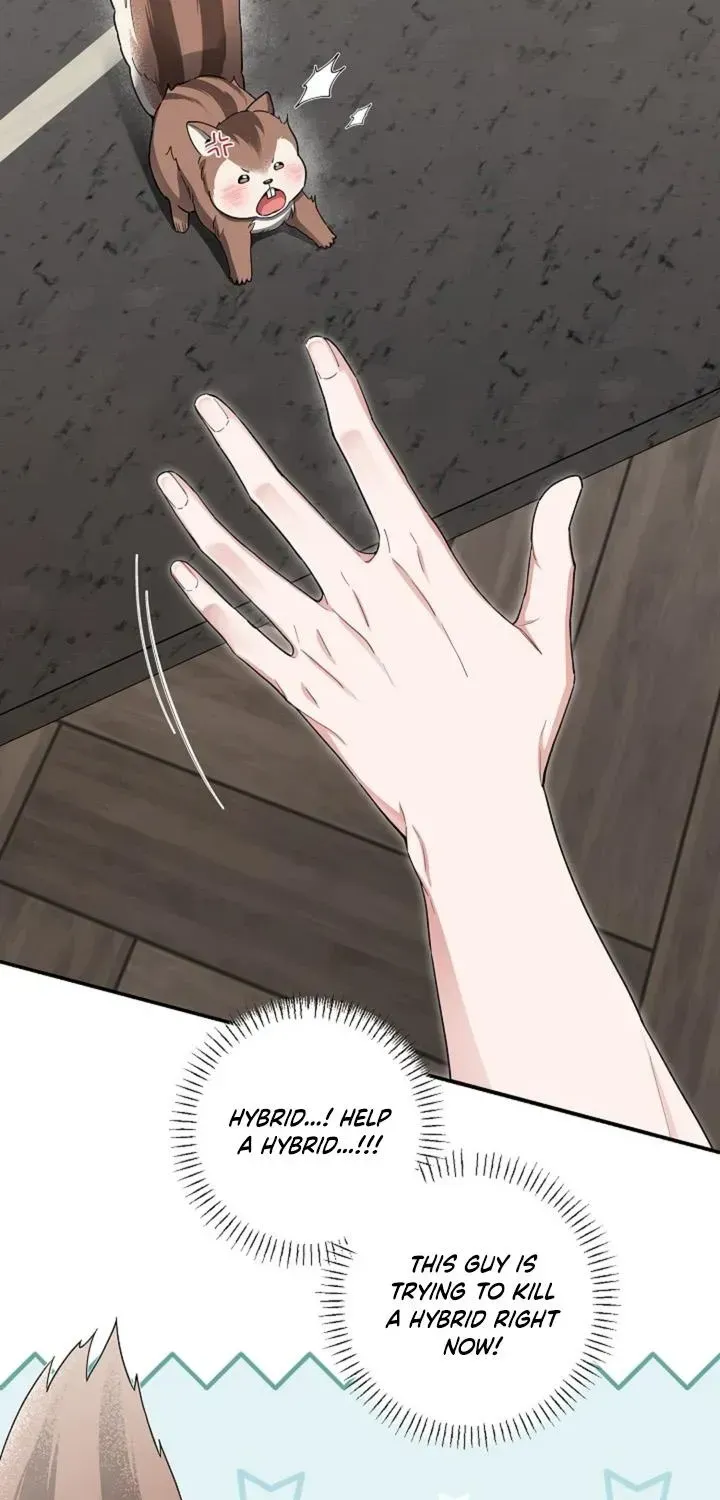 Even a lonely squirrel has its own burrow Chapter 1.2 page 8 - 