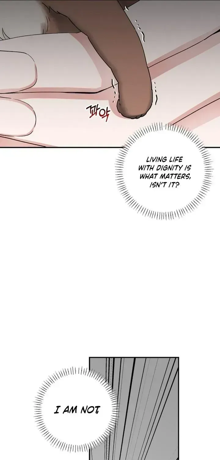 Even a lonely squirrel has its own burrow Chapter 1.4 page 12 - 