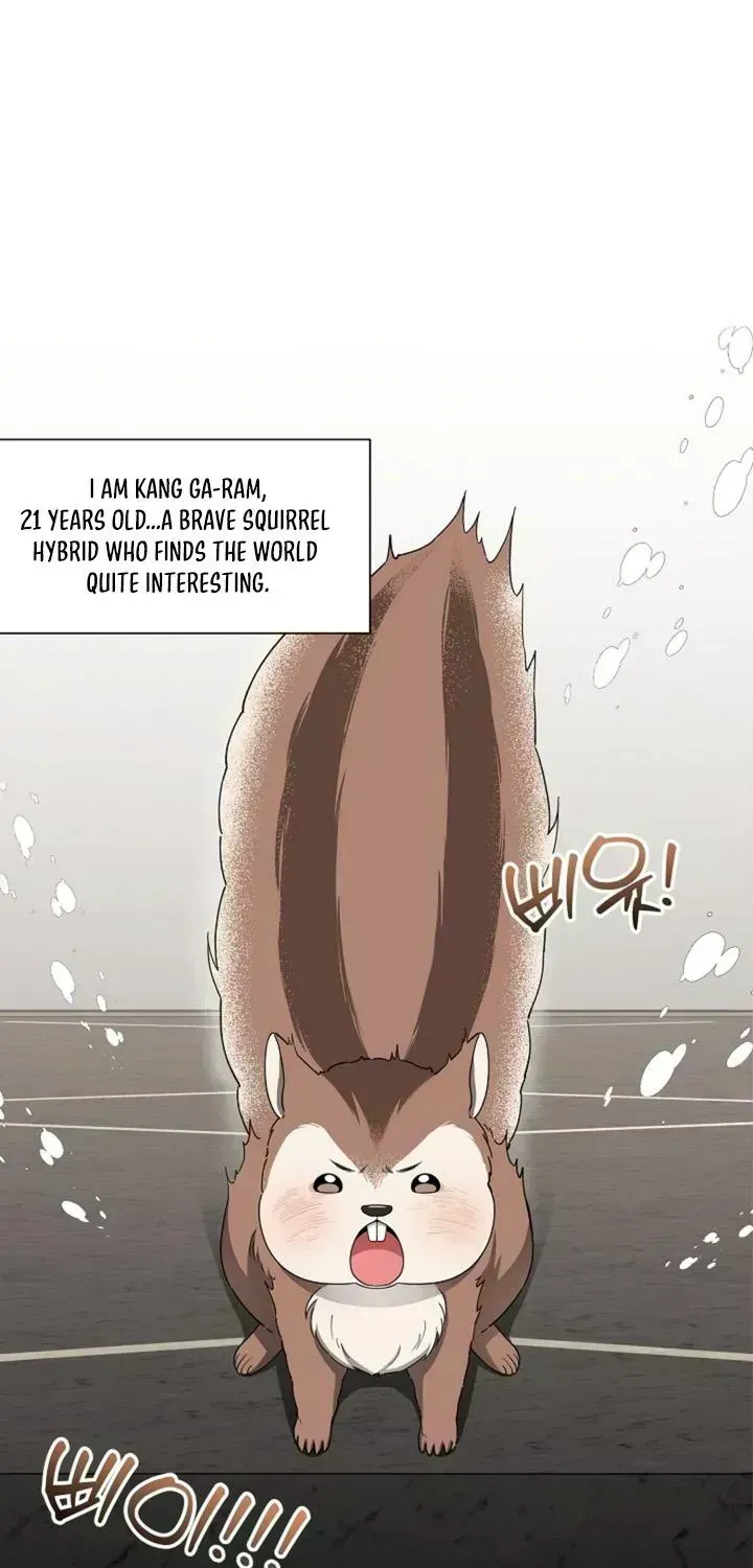 Even a lonely squirrel has its own burrow Chapter 1.6 page 2 - 