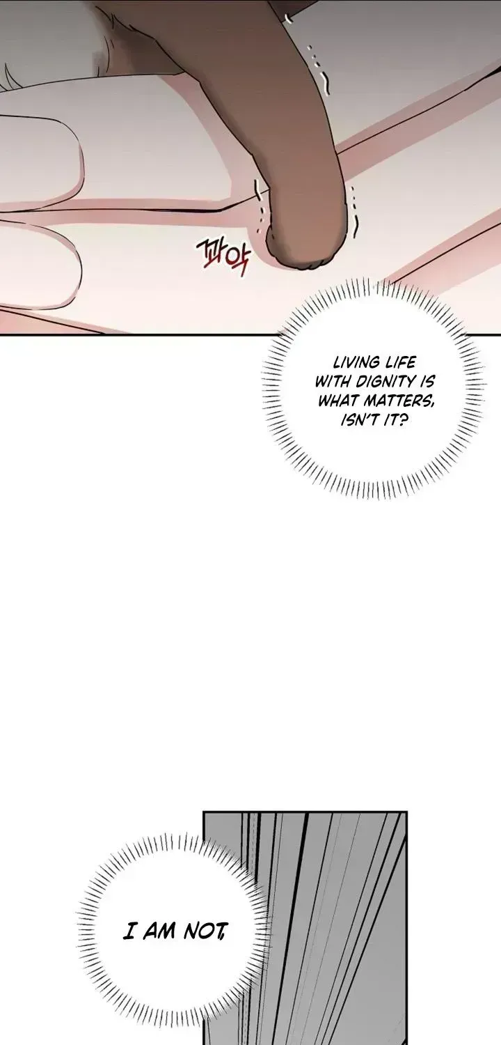 Even a lonely squirrel has its own burrow Chapter 1.8 page 12 - 