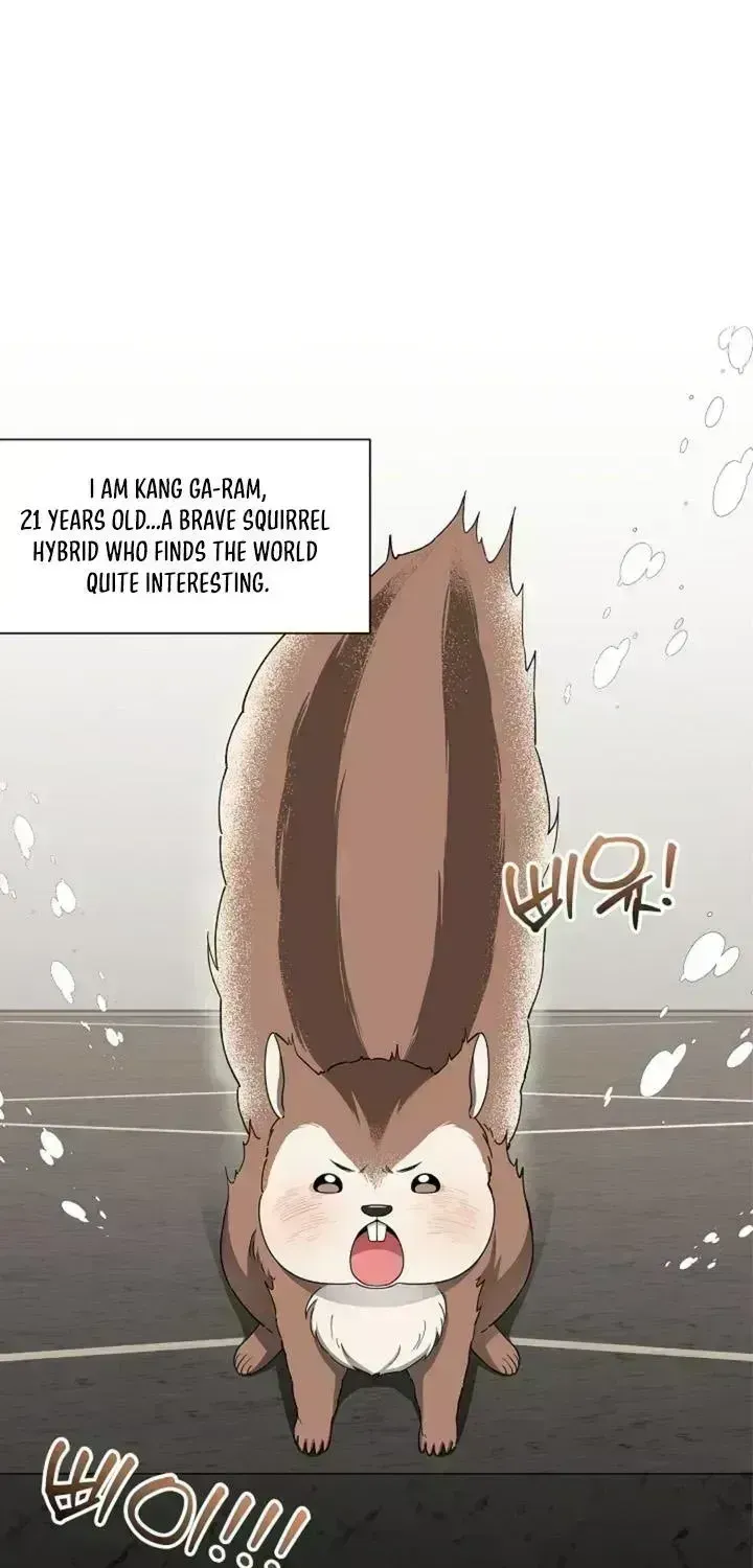 Even a lonely squirrel has its own burrow Chapter 1.9 page 2 - 