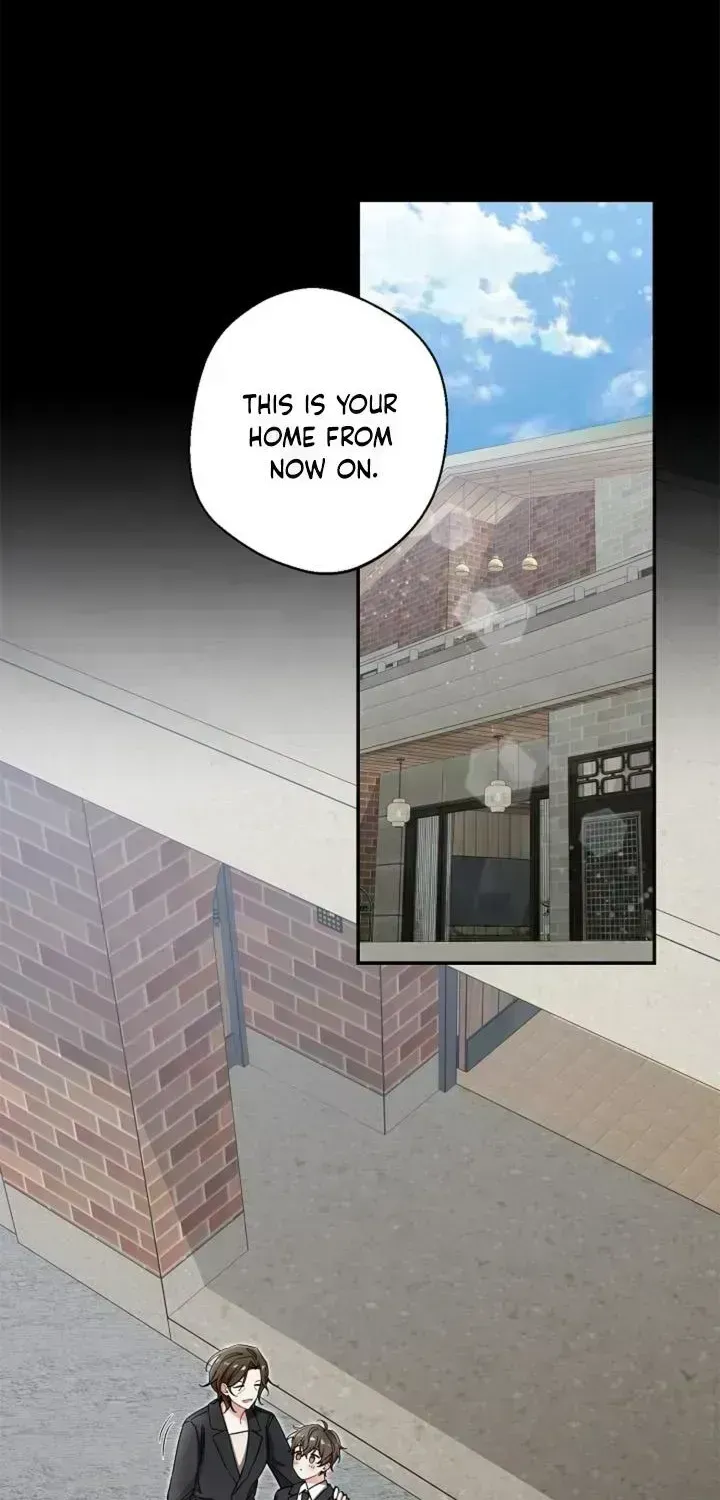 Even a lonely squirrel has its own burrow Chapter 1.9 page 37 - 