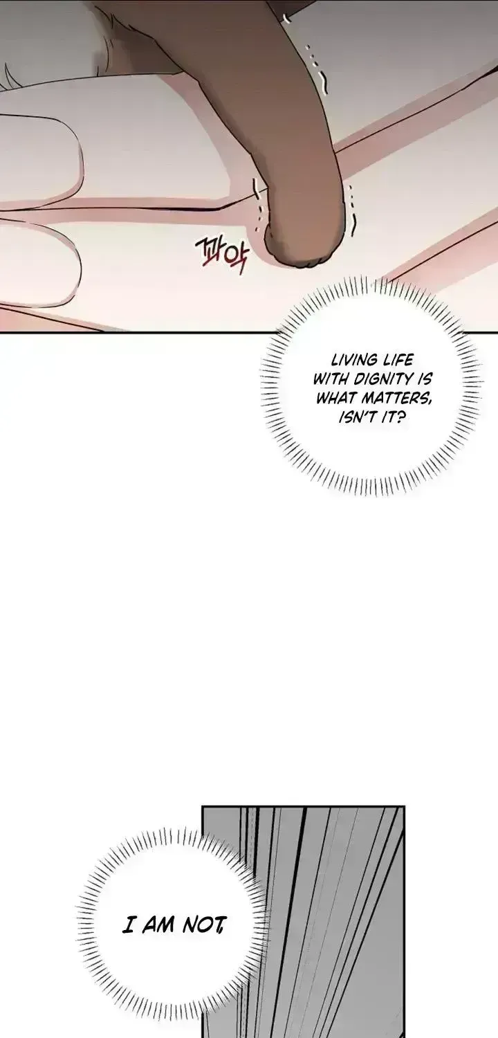 Even a lonely squirrel has its own burrow Chapter 2.4 page 12 - 