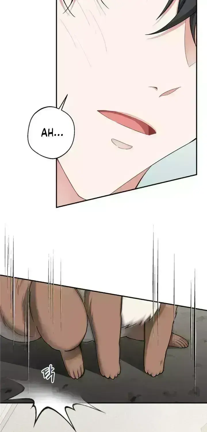 Even a lonely squirrel has its own burrow Chapter 2.5 page 16 - 
