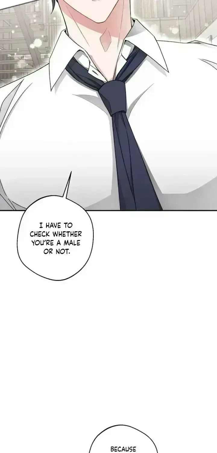 Even a lonely squirrel has its own burrow Chapter 2.6 page 5 - 